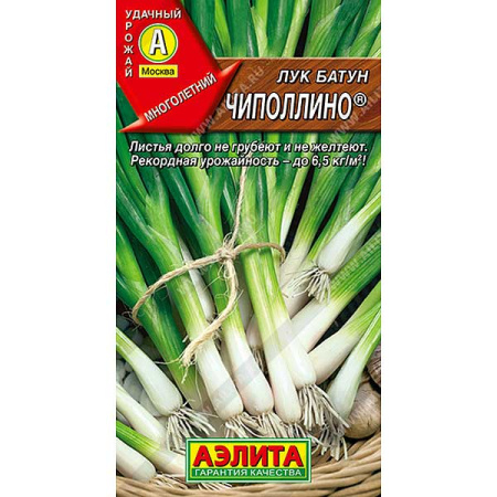 Лук батун Чиполлино Аэлита Ц