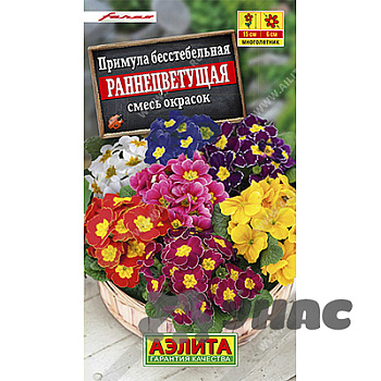Примула Раннецветущая Аэлита Ц 