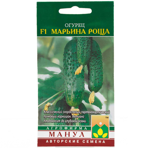 Огурец Марьина роща Манул Ц