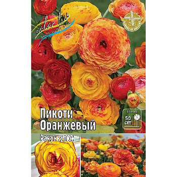 Ранункулюс Пикоти Оранжевый 4/5 200 шт Шоу-Бокс 9213