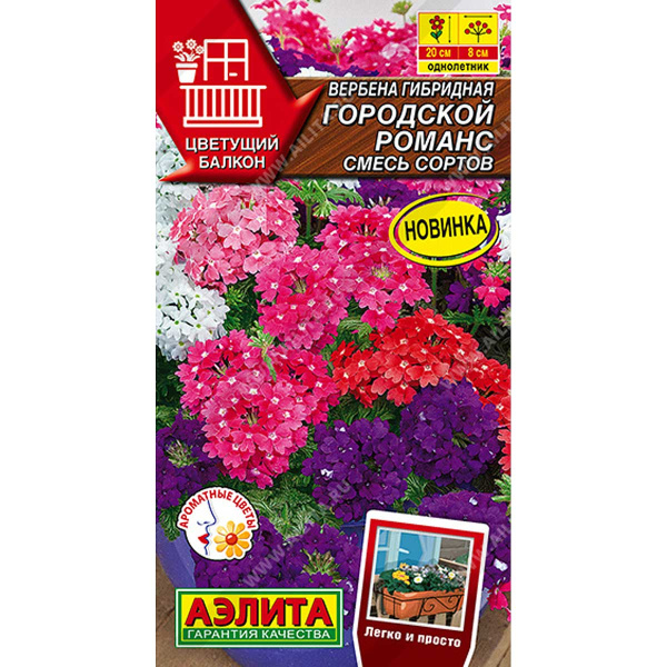 Вербена гибридная Городской романс смесь  Аэлита Цх10 