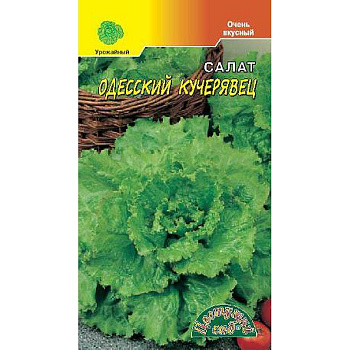 Салат Одесский Кучерявец ЦветСад Ц