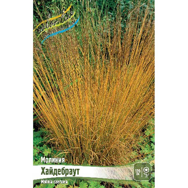 Молиния Хайдебраут 2/3 2 шт