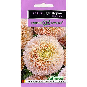 Астра Леди Корал Бежевая Гавриш Ц 