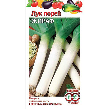 Лук порей Жираф Гавриш Ц