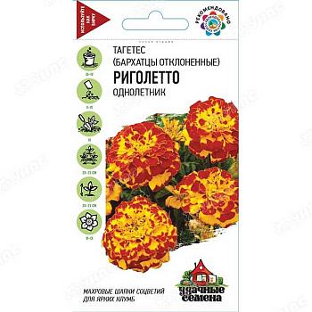 Бархатцы Риголетто откл. Удач. сем. Гавриш Ц 