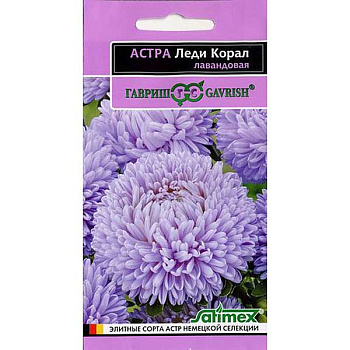 Астра Леди Корал Лавандовая (эксклюзив) Гавриш Ц 