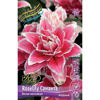 Лилия Roselily Саманта 12/14 5 шт