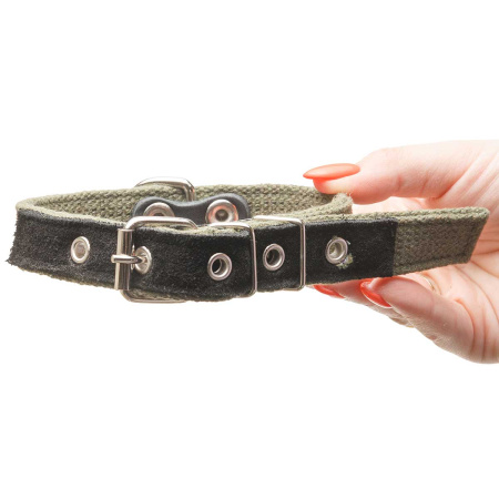 Ошейник брезент ширина 20 мм, двойной с вынесенным кольцом усиленный 45 см