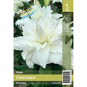Лилия Стокгольм 12/14 1 Эконом шт 