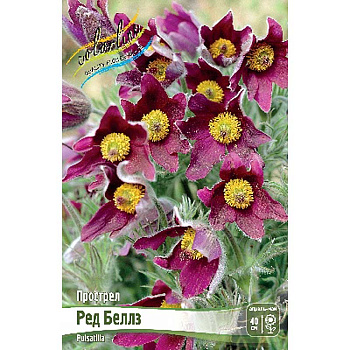 8589 Биг-Пак Прострел Ред Беллз I 25 шт