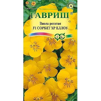 Виола рогатая Сорбет ХР Еллоу Гавриш Ц 