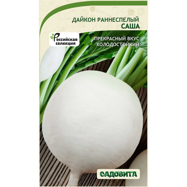 Дайкон Саша 1гр Садовита Ц
