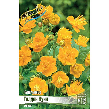 8460 Биг-Пак Купальница Голден Куин I 25 шт