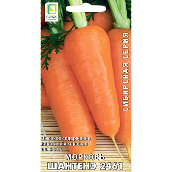Морковь Шантенэ Поиск Ц