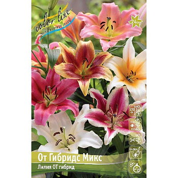 Лилия От Гибридс Микс 12/14 25 шт Биг-пак 13758