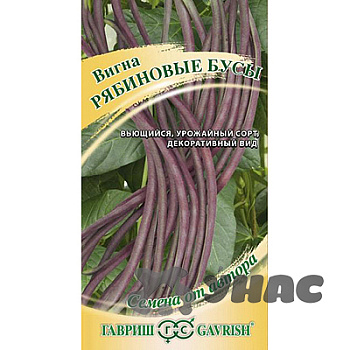 Вигна Рябиновые бусы Гавриш Цх10