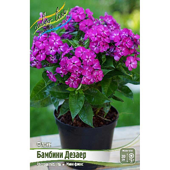 Флокс Бамбини Дезаер I 25 шт Биг-Пак 8050