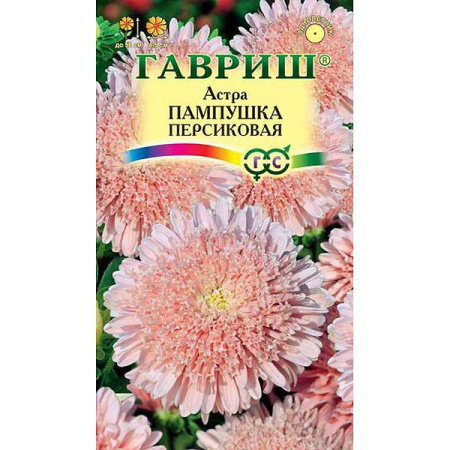 Астра Пампушка персиковая Гавриш Ц 