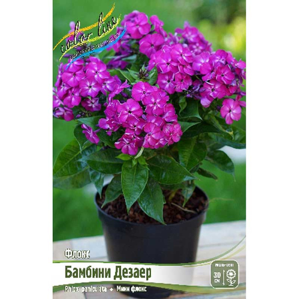 Флокс Бамбини Дезаер I 25 шт Биг-Пак 8050