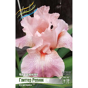 Ирис Германский Глиттер Репинк I 25 шт Биг-пак 6622