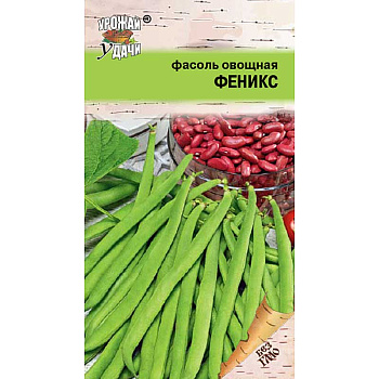 Фасоль Феникс Урожай у дачи Ц
