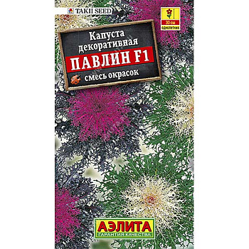 Капуста декор. Павлин Аэлита Ц 