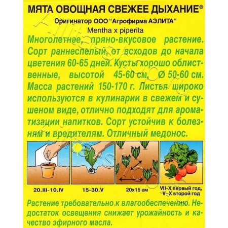 Мята Свежее дыхание Аэлита Ц