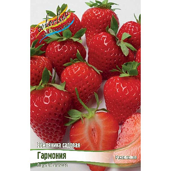 7167 Биг-Пак Земляника Садовая Гармония A 100 шт 