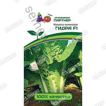 Капуста пекинская Гидра Партнер Ц