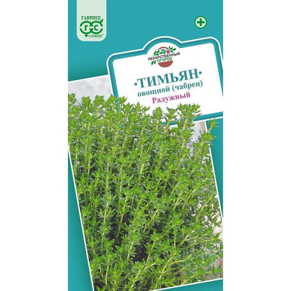 Тимьян Радужный Гавриш Ц