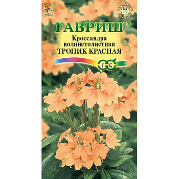 КОМ Кроссандра Тропик красная  (Элитная клумба) Гавриш Ц 