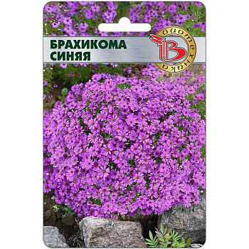 Брахикома Синяя Биотехника Ц 