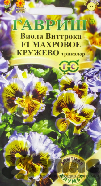 Виола Виттрока Махровое кружево триколор Гавриш Ц 