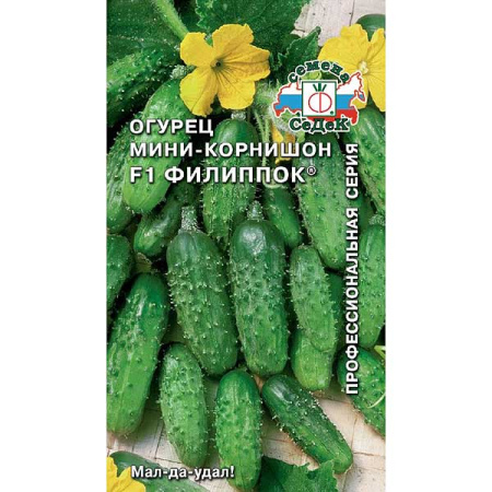 Огурец Филиппок Седек Ц