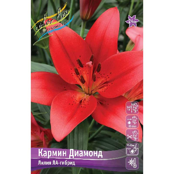 Лилия Кармин Диамонд 10/12 7 шт 