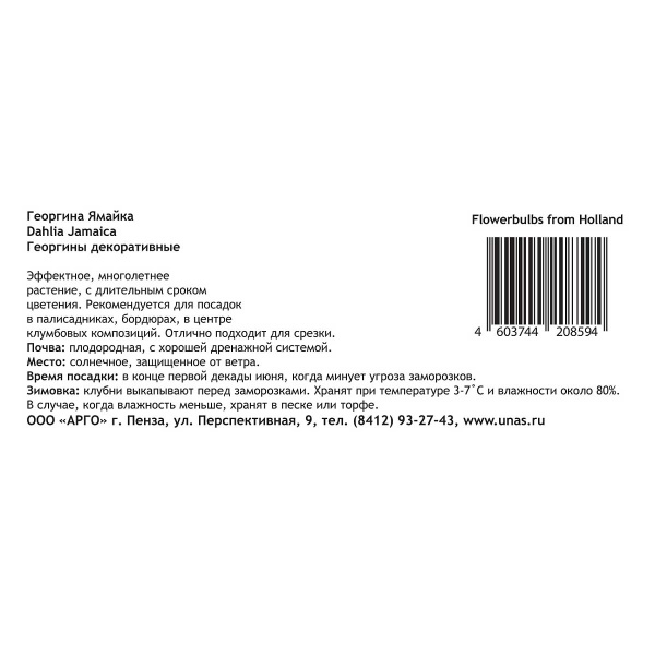 12243 Шоу-бокс Георгина Ямайка I 15 шт Садовита