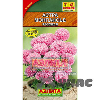 Астра Монпансье розовая Аэлита Ц 