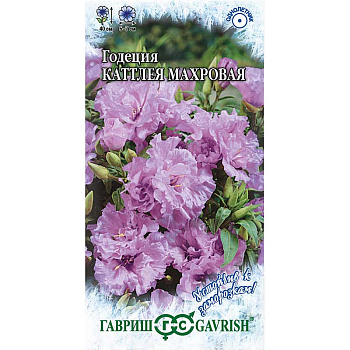 Годеция Каттлея махровая смесь Гавриш Ц 