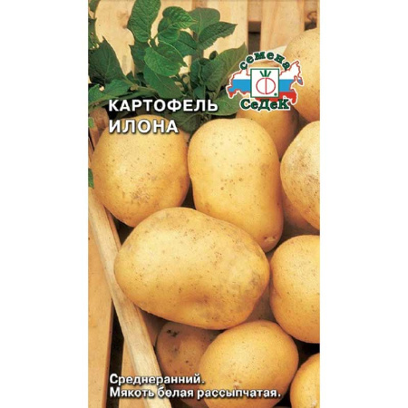 Картофель Илона Элита (цена за 25кг +-5%) Седек