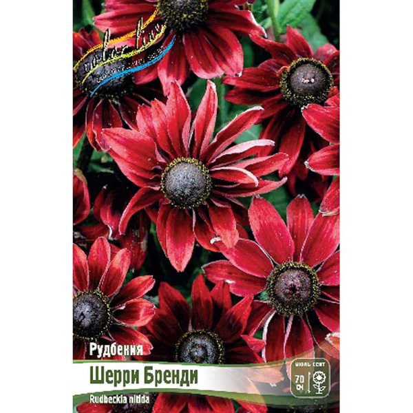 Рудбекия Шерри Бренди I 1 шт