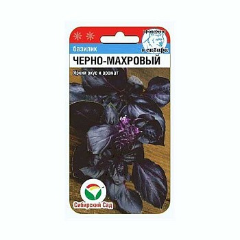 Базилик Черно-махровый СибСад Ц