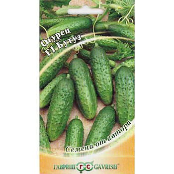 Огурец Бутуз Гавриш Ц