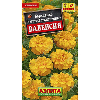 Бархатцы Валенсия отклоненные Аэлита Ц 