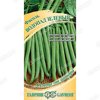Фасоль Водопад зеленый Гавриш Ц
