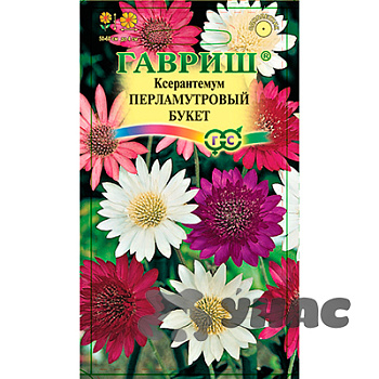 Ксерантемум Перламутровый букет Гавриш Цх10 