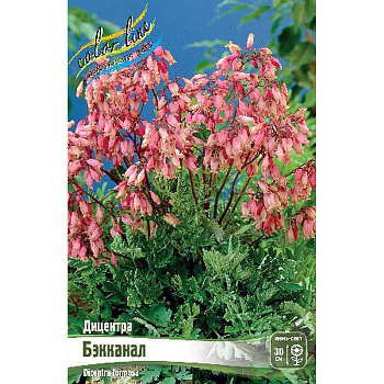 8410 Биг-Пак Дицентра Бэкканал I 25 шт