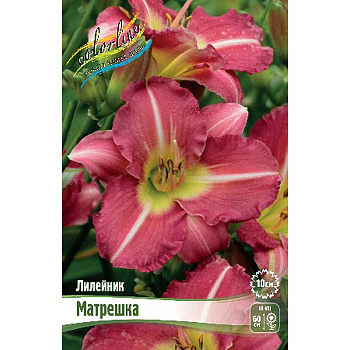 Лилейник Матрешка I 1 шт