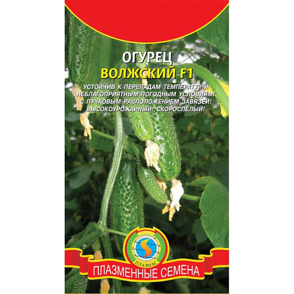 Огурец Волжский Плазма Ц