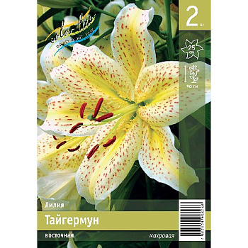 Лилия Тайгермун 12/14 2 Эконом шт